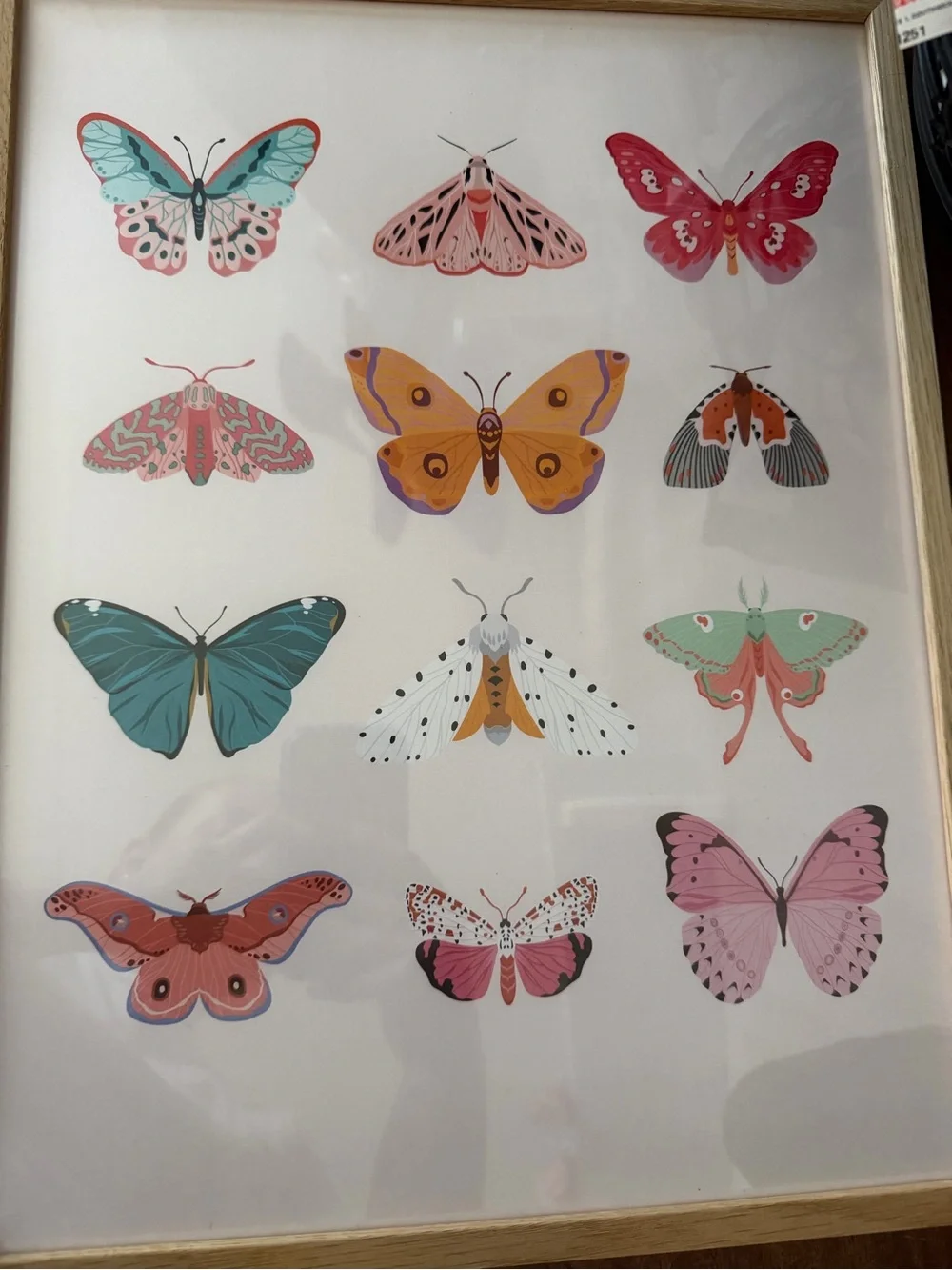 Butterfly Wall Art Print with Frame - Multicolor Home Wall Decor